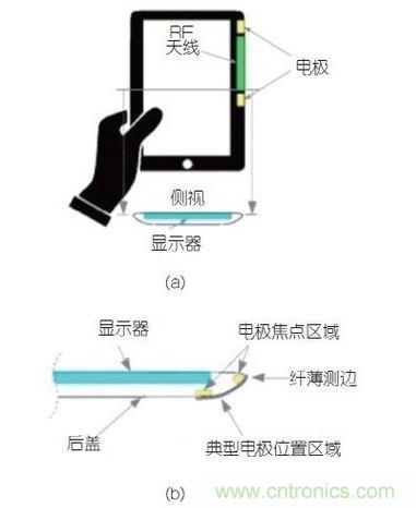 (a)側剖視圖描述；(b)電極焦點區域描述