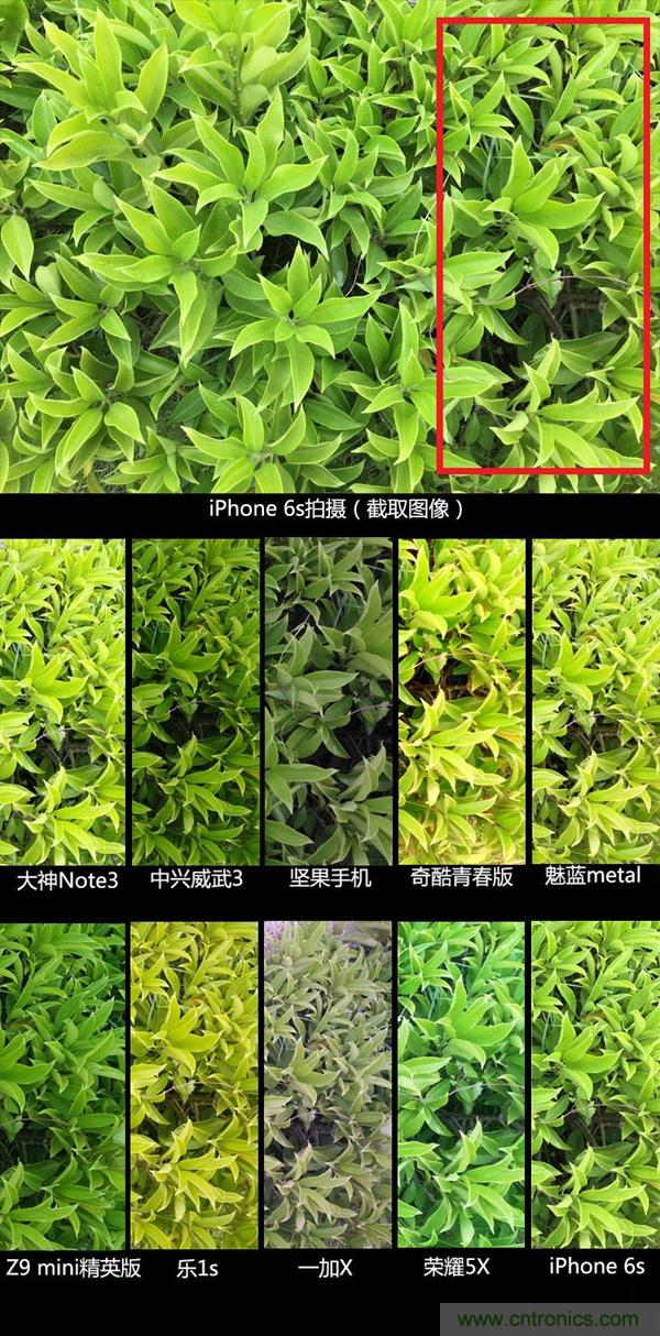 2015年9款千元智能手機橫評：誰才是紅海霸主？