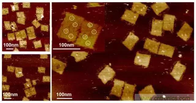 中美科學家聯手，用DNA納米機器人殺死癌細胞