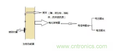 仿生傳感器的定義、原理、分類及應用