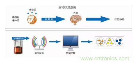 仿生傳感器的定義、原理、分類及應用