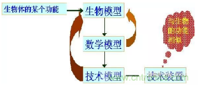 仿生傳感器的定義、原理、分類及應用