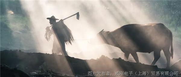 智慧農業大有可為，“數字種地”更輕松