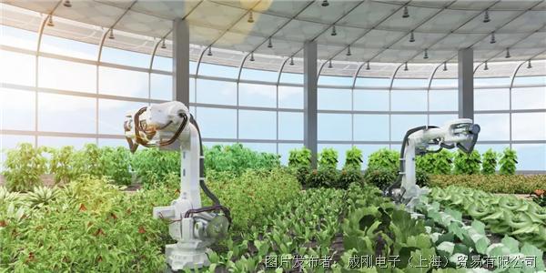 智慧農業大有可為，“數字種地”更輕松